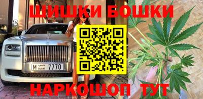 шишки Тулун