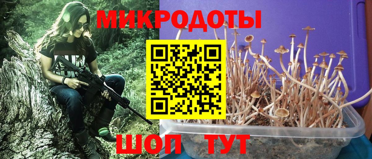 Псилоцибиновые грибы Psilocybine cubensis  Псилоцибиновые грибы мицелий  Вход с VPN  Урай 